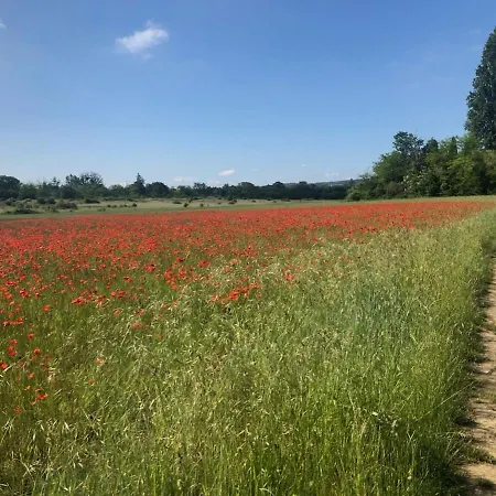 Les Buis Cozy House 1 Hour From Paris * Freneuse (Yvelines)